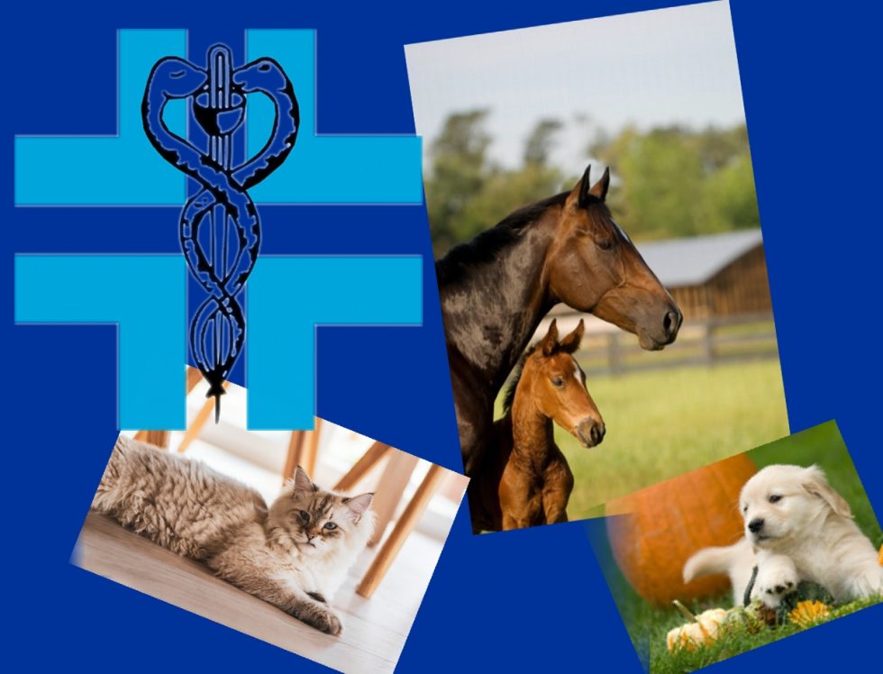 STUDI SCIENTIFICI IN VETERINARIA Uniras Medica